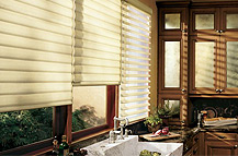 BLINDS & SHADES