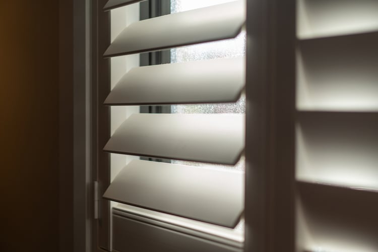 shutterstock_1989982421