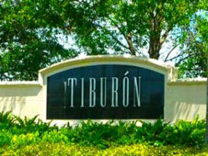 tiburon-300x225