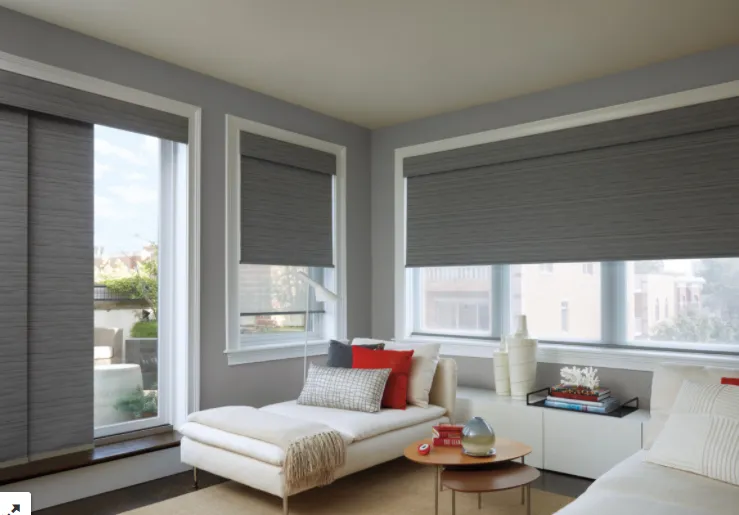 Gray fabric shades over living room windows and a sliding glass door